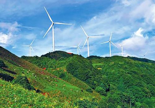 一個(gè)風(fēng)力發(fā)電機(jī)組整體造價(jià)要多少錢(qián)？